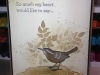 Brown Bird