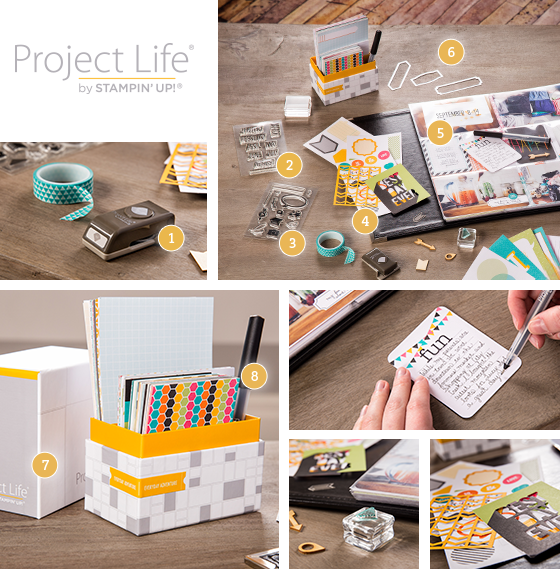 project life